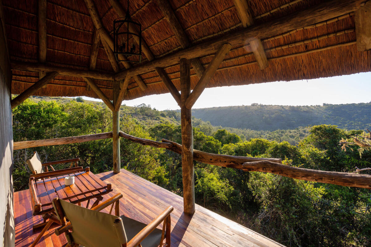 Cedarberg Travel | Lalibela Tree Tops Tented Camp