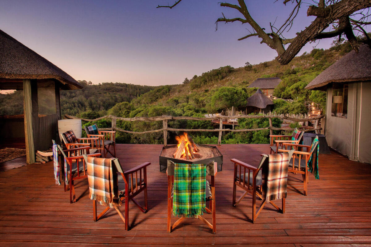 Cedarberg Travel | Lalibela Tree Tops Tented Camp