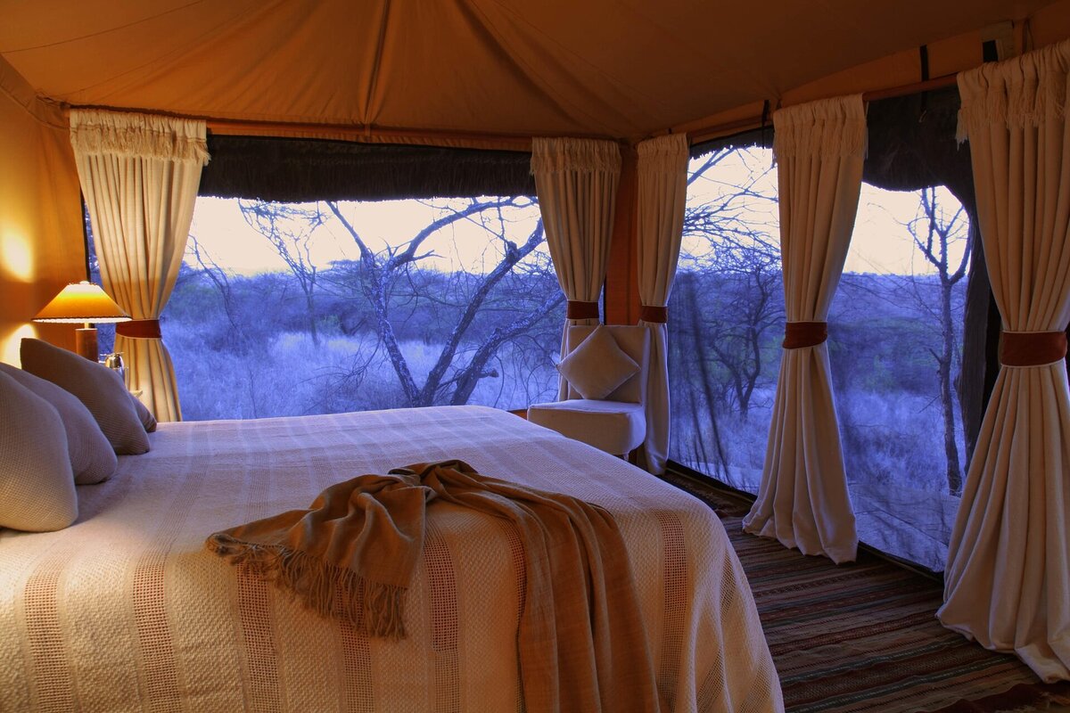 Cedarberg Travel | Elewana Lewa Safari Camp
