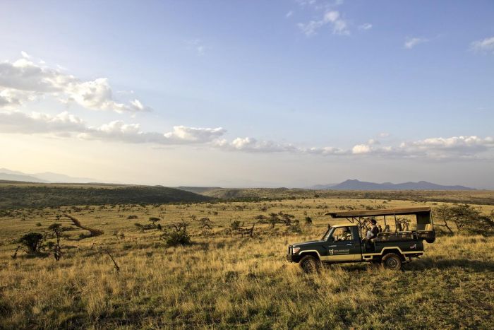 Cedarberg_Africa_Lewa-Safari-Camp-activities-game-drives-700