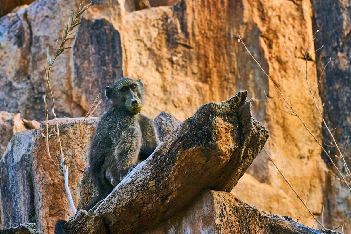 Cedarberg Travel | Huab Lodge