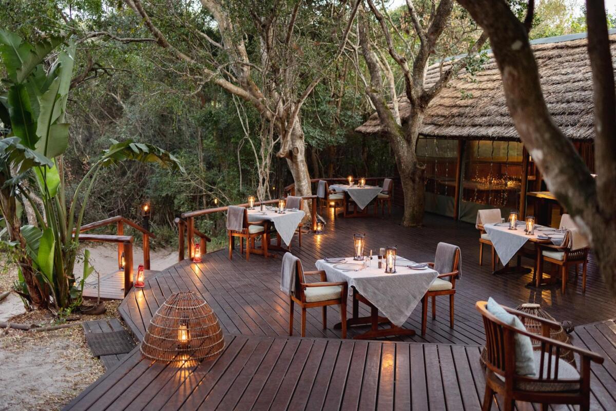 Cedarberg Travel | Kosi Forest Lodge