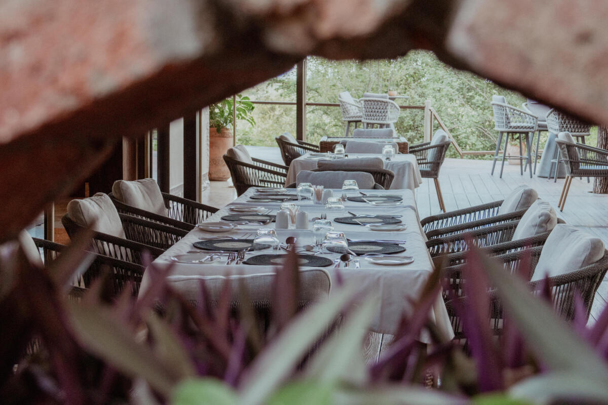 Cedarberg Travel | The Elephant Camp