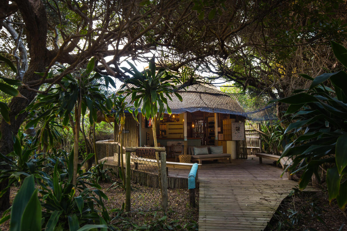Cedarberg Travel | Thonga Beach Lodge
