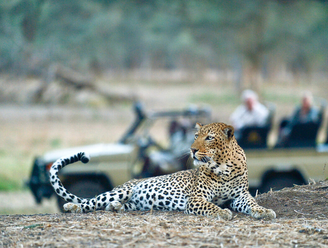 Cedarberg Travel | Old Mondoro Camp