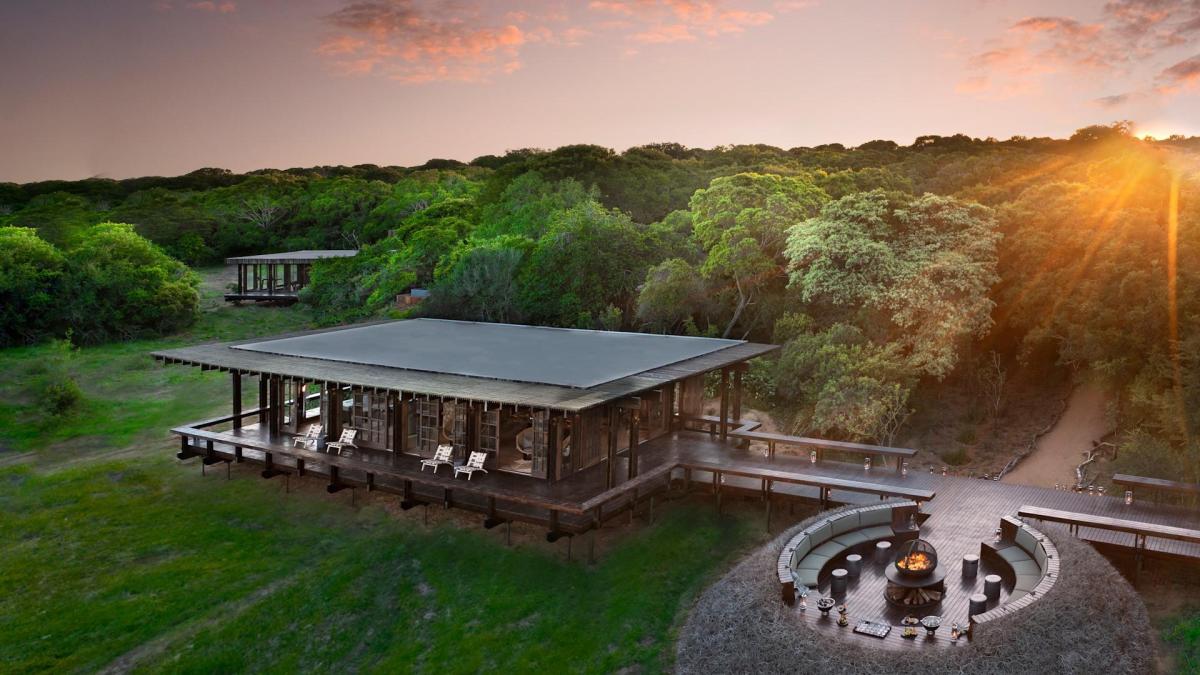 Cedarberg Travel | andBeyond Phinda Forest Lodge