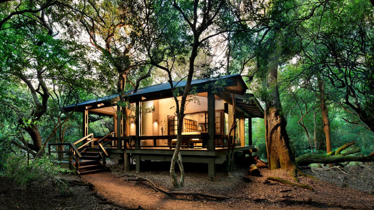 Cedarberg Travel | andBeyond Phinda Forest Lodge