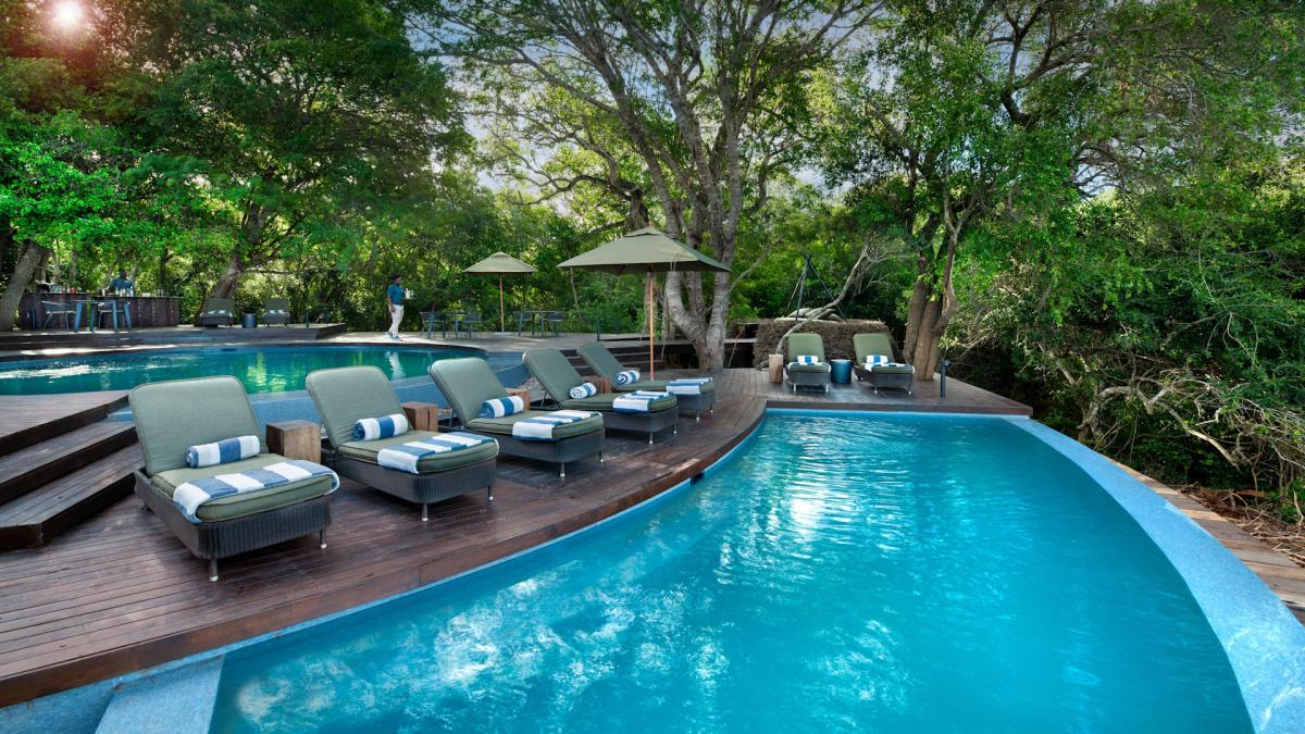 Cedarberg Travel | andBeyond Phinda Forest Lodge