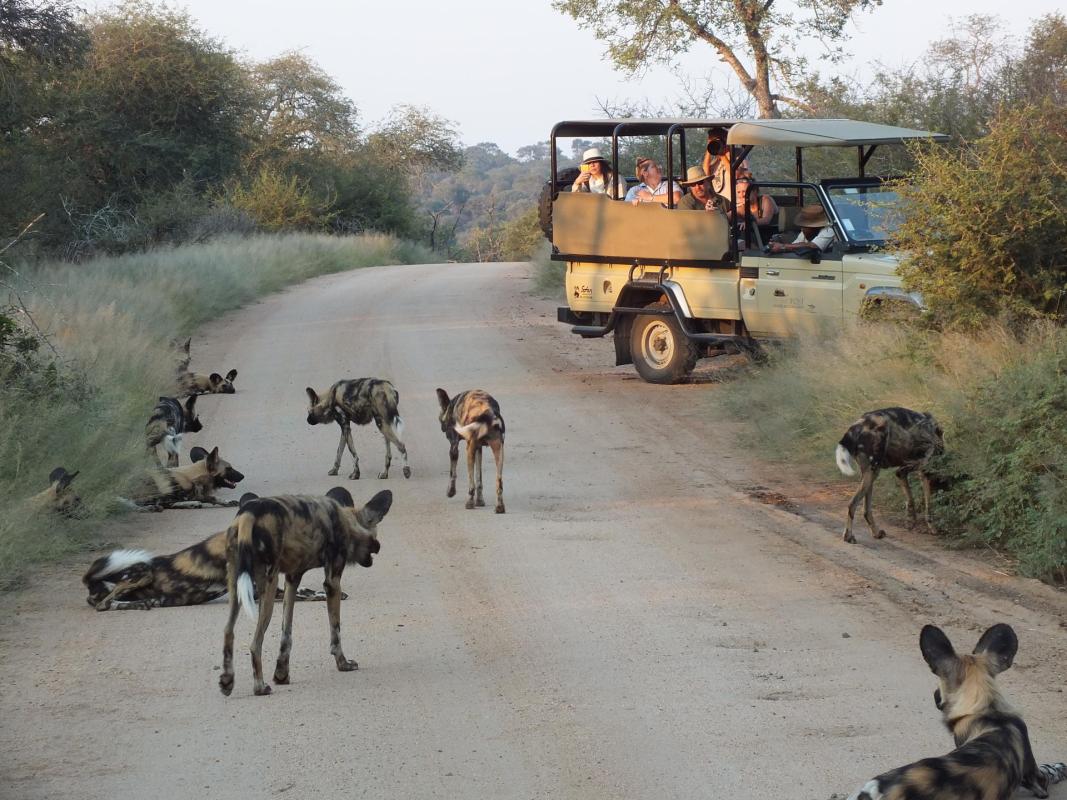 Cedarberg Travel | Rhino Post Safari Lodge