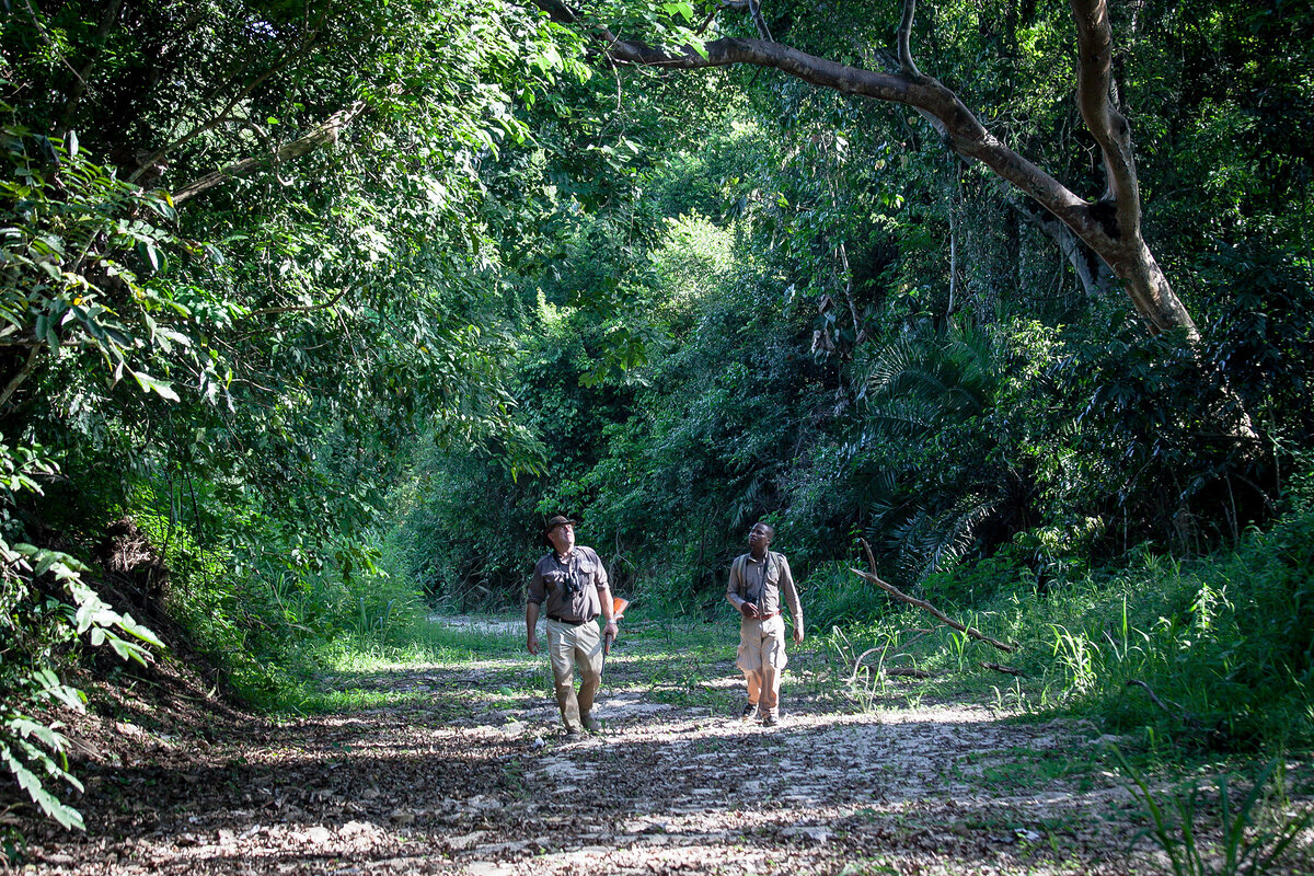 Cedarberg Travel | Semliki Safari Lodge