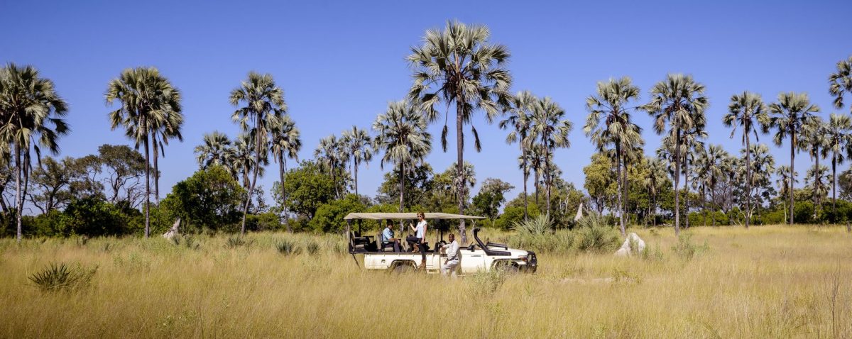 Cedarberg Travel | Ultimate Botswana Family Safari