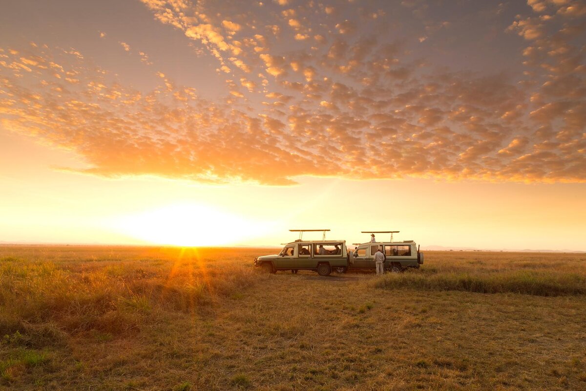 Cedarberg Travel | Serengeti Safari Camp