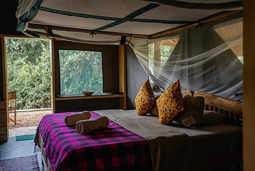 Thatched Safari Tents