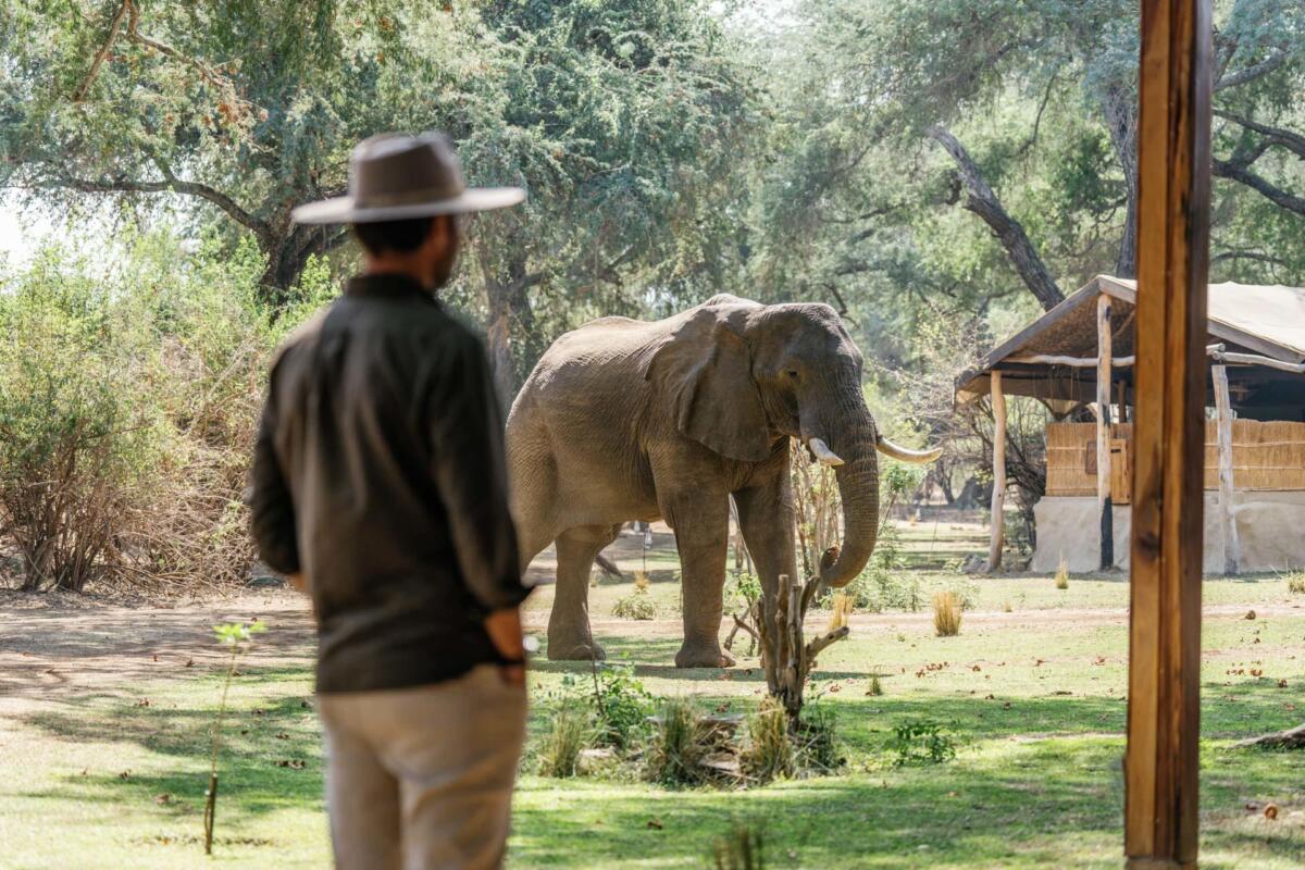 Cedarberg Travel | Chongwe River Camp