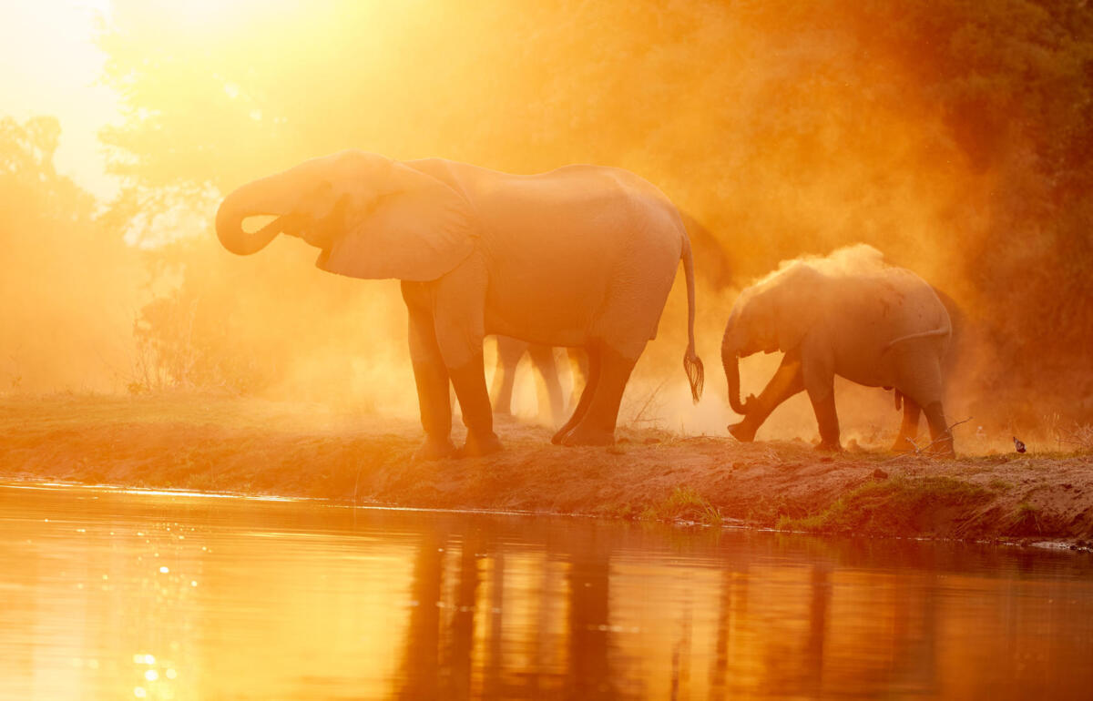 Cedarberg Travel | Chongwe River House