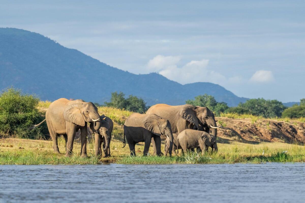 Cedarberg Travel | Chongwe River House