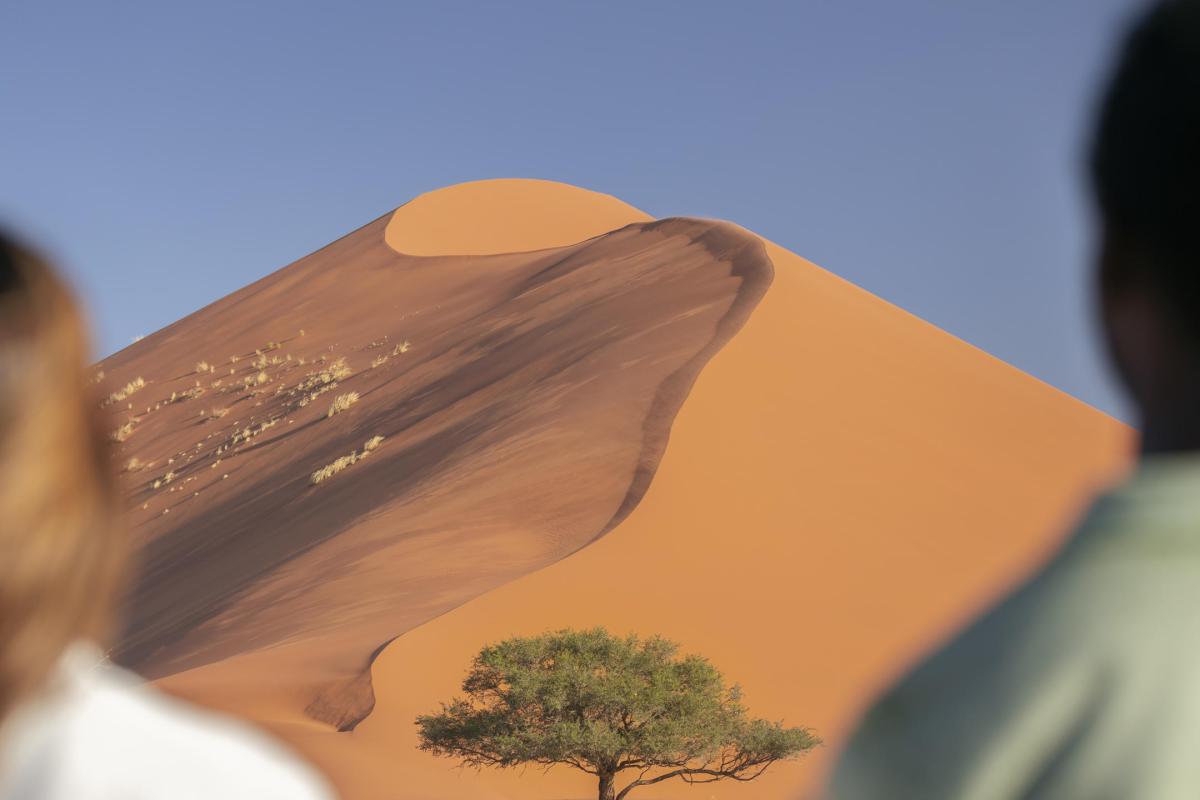 Cedarberg Travel | Little Kulala