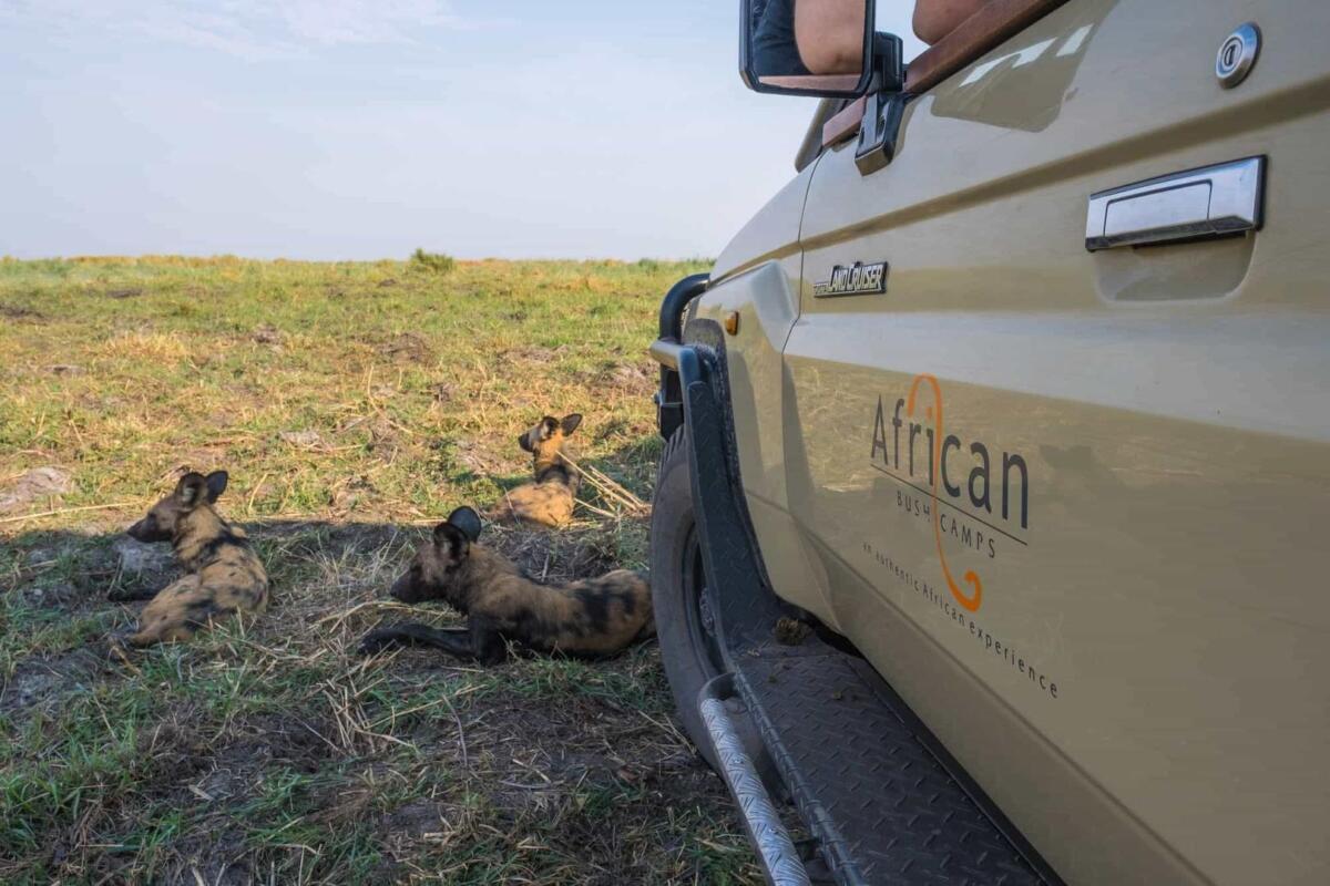 Cedarberg Travel | Linyanti Ebony Camp