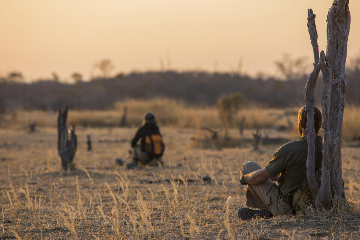 Cedarberg Travel | Mwaleshi Camp