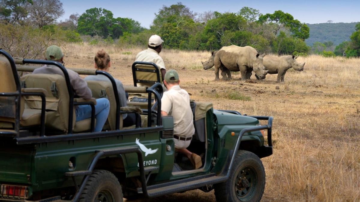 Cedarberg Travel | andBeyond Phinda Forest Lodge