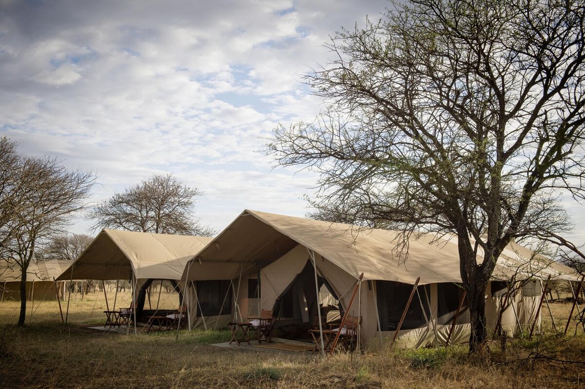 Cedarberg Travel | Serengeti Safari Camp