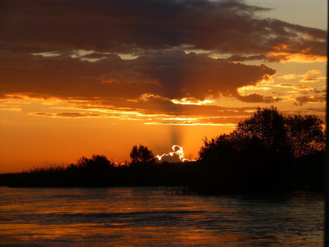 Cedarberg Travel | Waterberry Zambezi Lodge