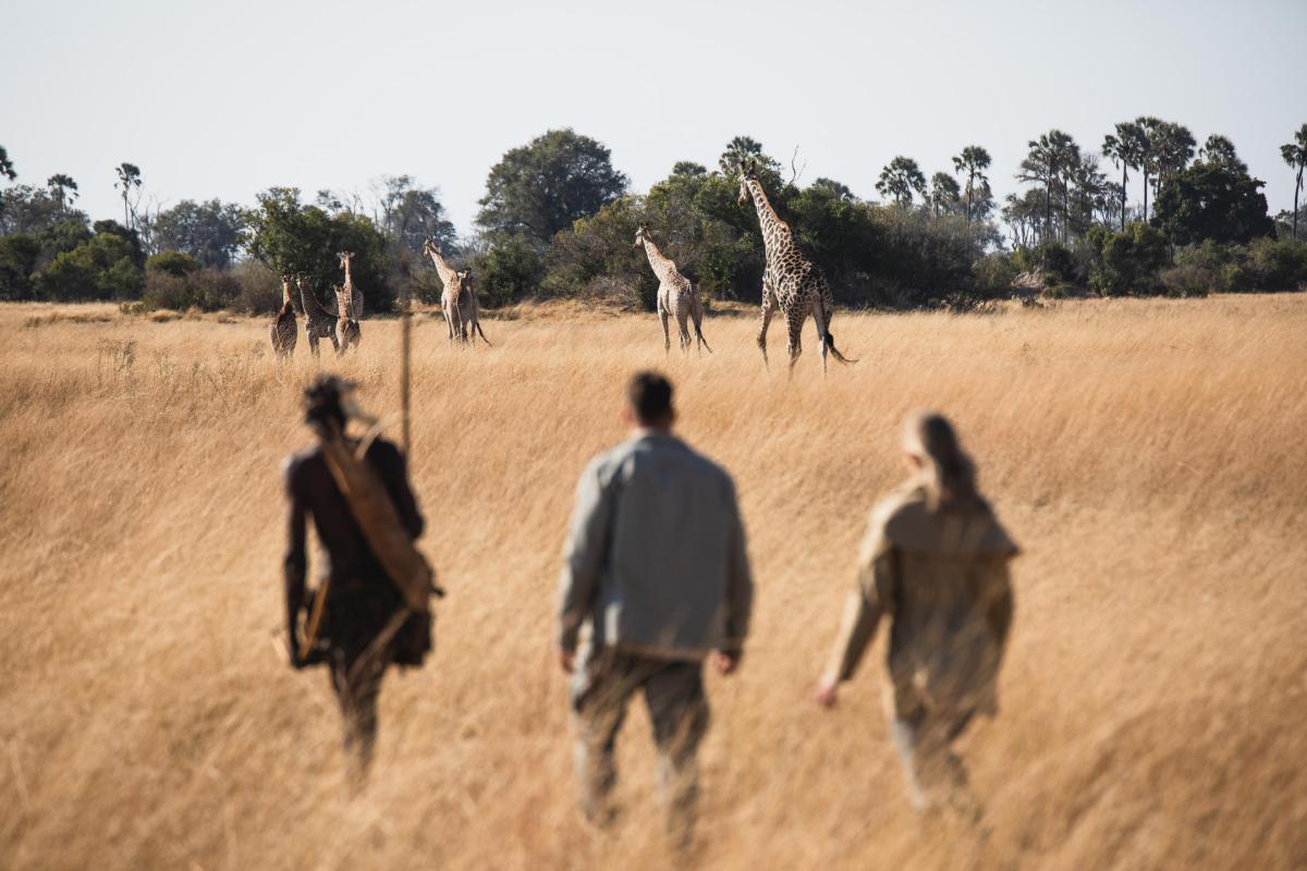 Cedarberg Travel | Tubu Tree Camp