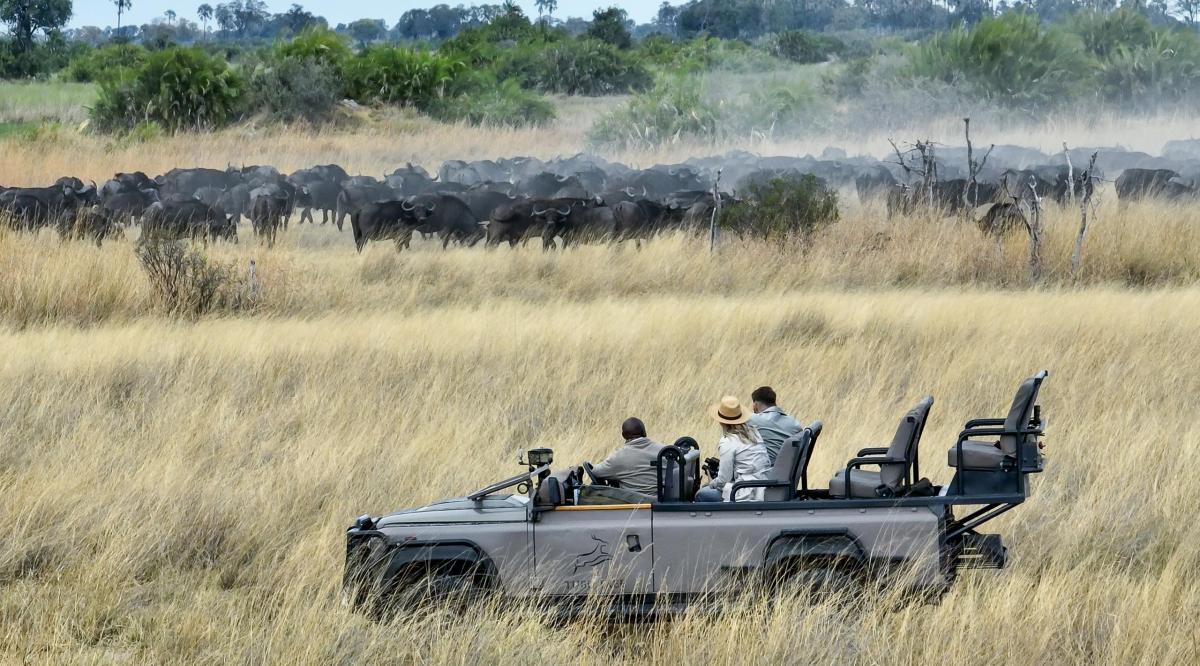 Cedarberg Travel | Tubu Tree Camp