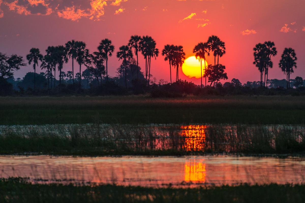 Cedarberg Travel | Tubu Tree Camp