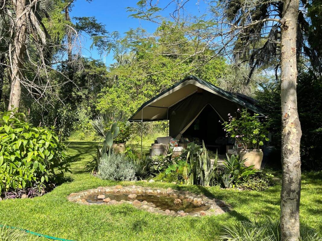 Cedarberg Travel | Waterberry Zambezi Lodge