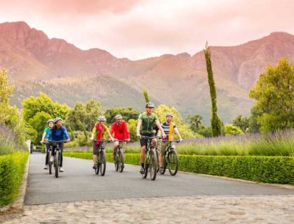 wine tour with cycling