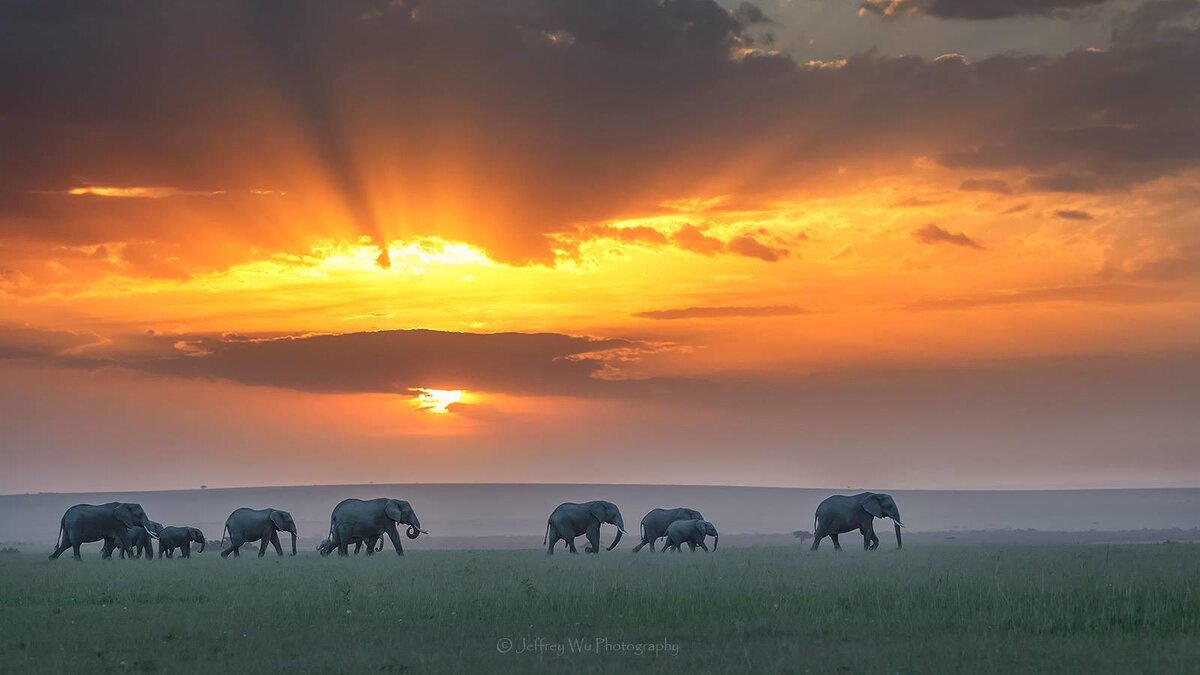 Cedarberg Travel | Porini Lion Camp