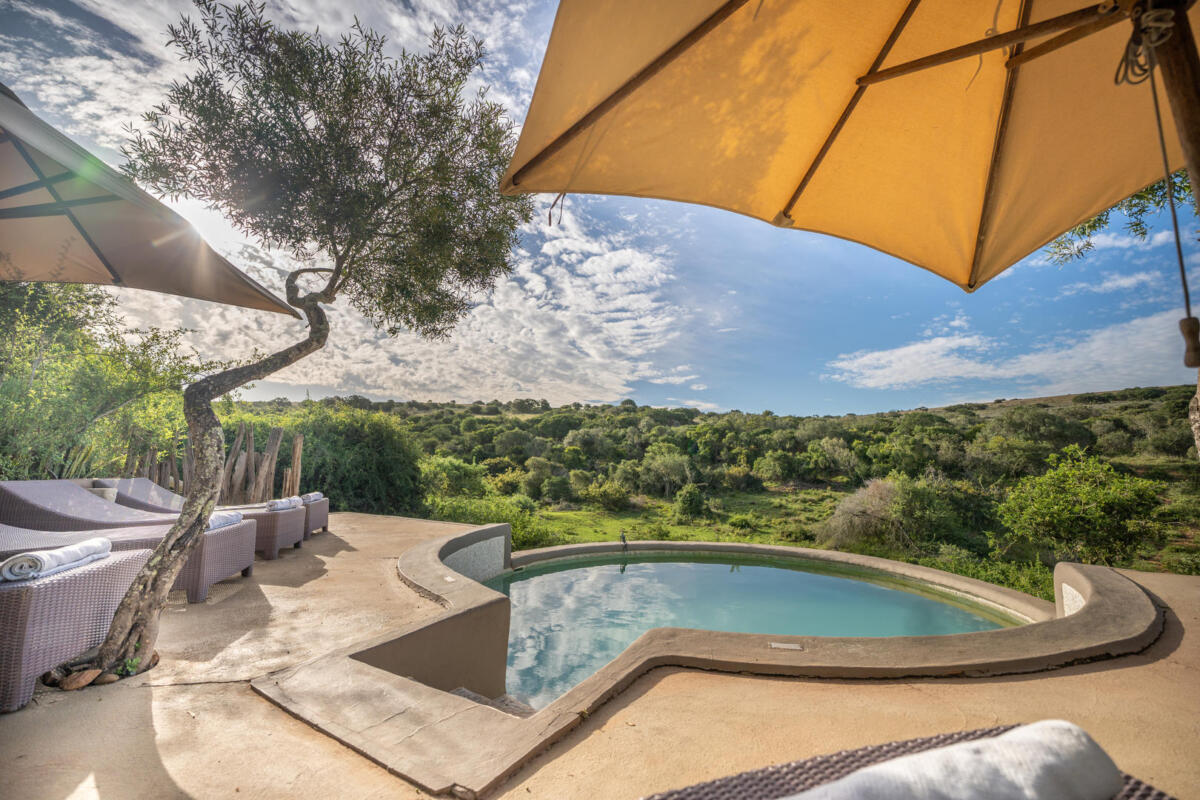 Cedarberg Travel | Amakhala Safari Lodge