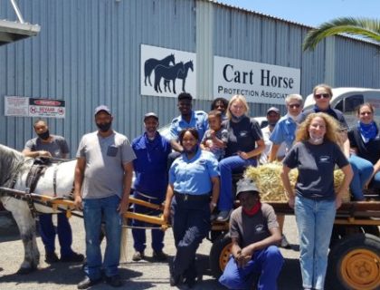 Carthorse Protection Association