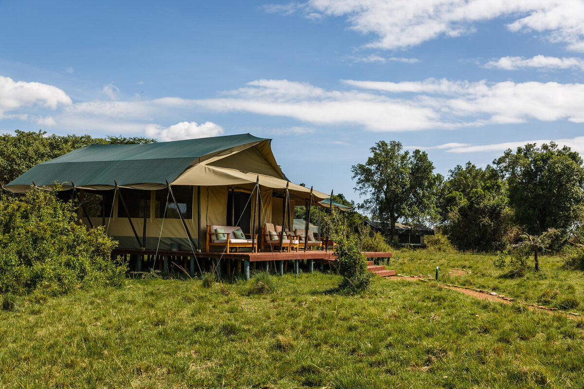 Cedarberg Travel | Porini Lion Camp