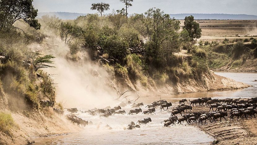 Cedarberg Travel | Kenya Family Safari Tour