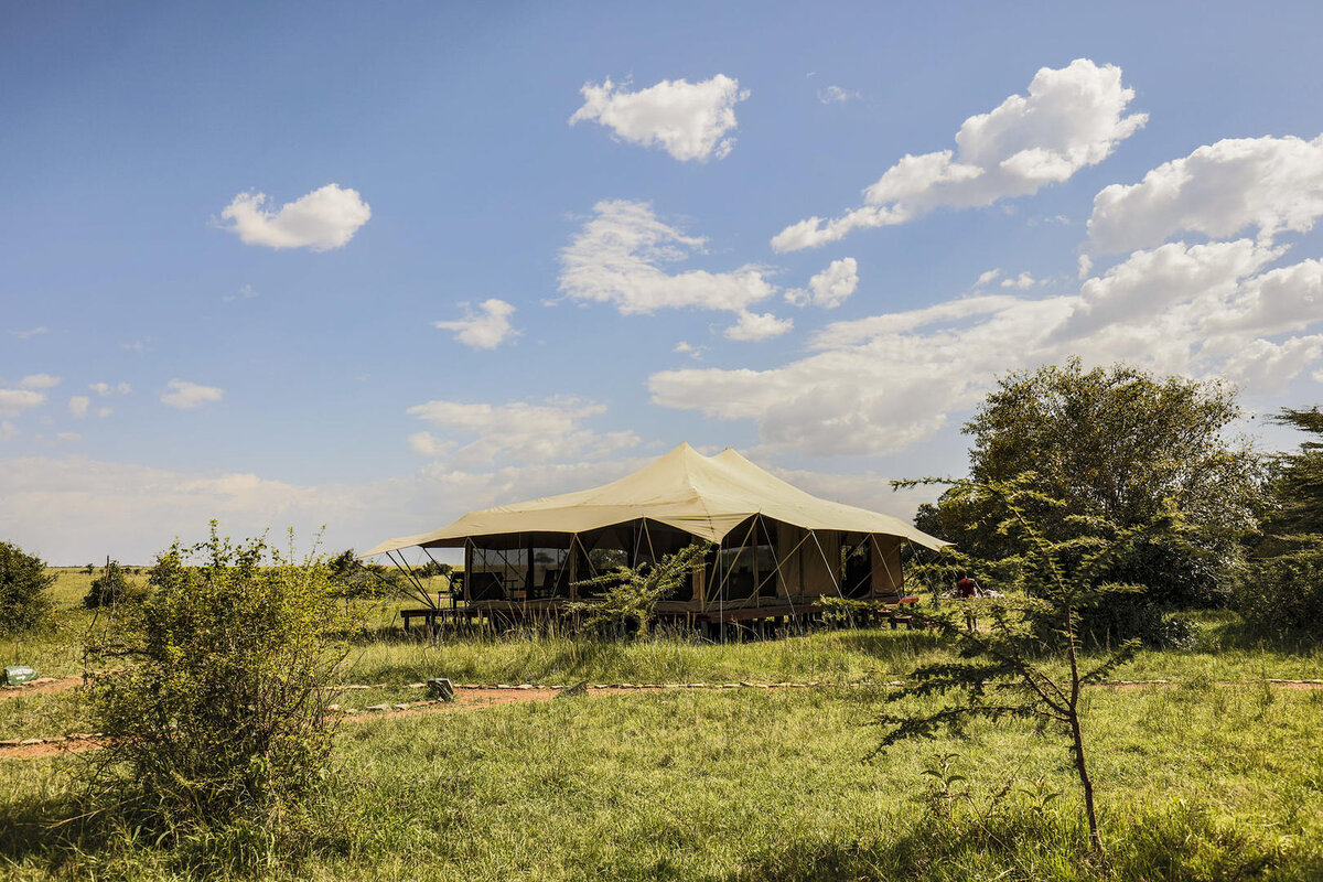 Cedarberg Travel | Porini Lion Camp