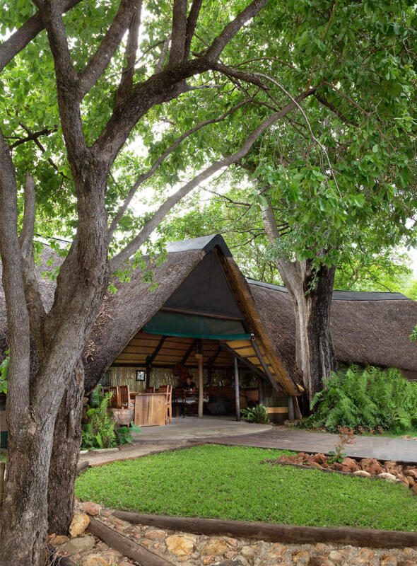 Cedarberg Travel | Ndhovu Safari Lodge
