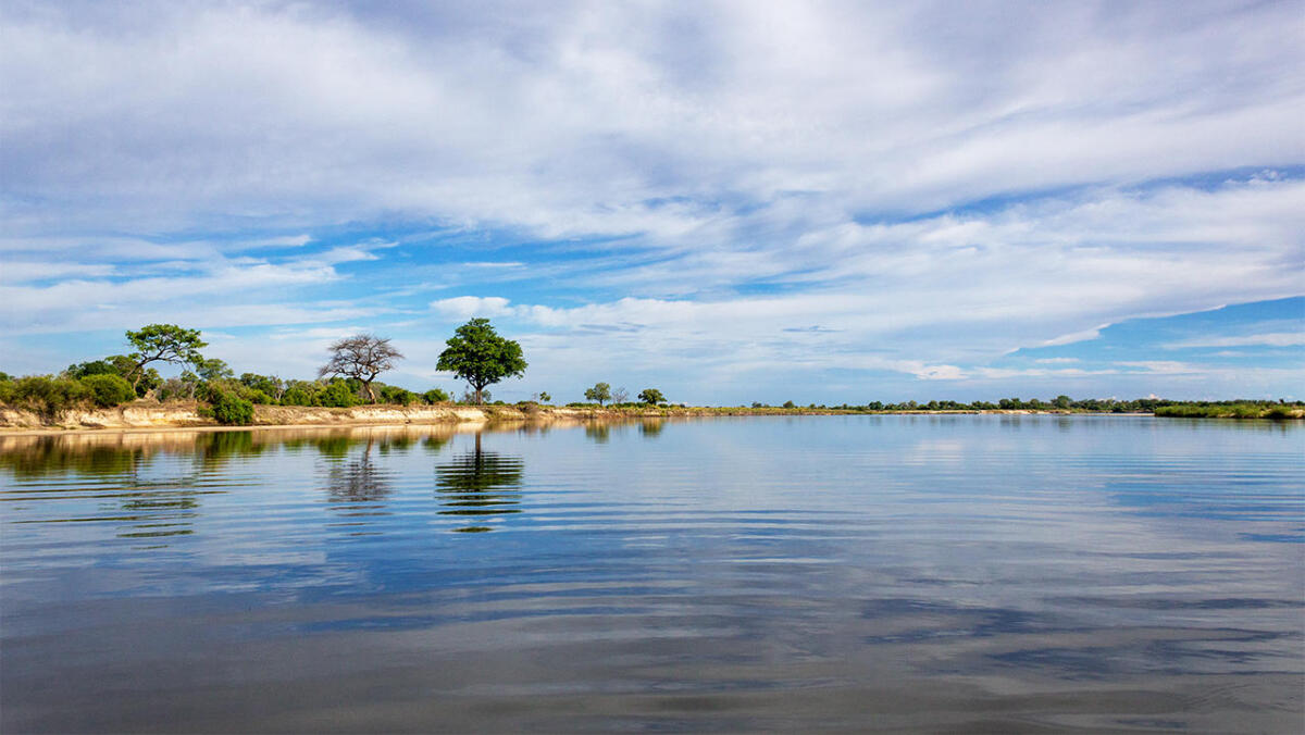 Cedarberg Travel | Ndhovu Safari Lodge