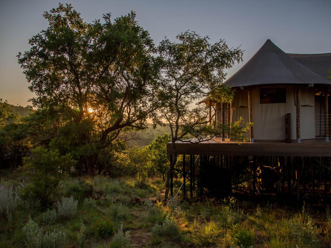 Cedarberg Travel | Nkomazi Game Reserve