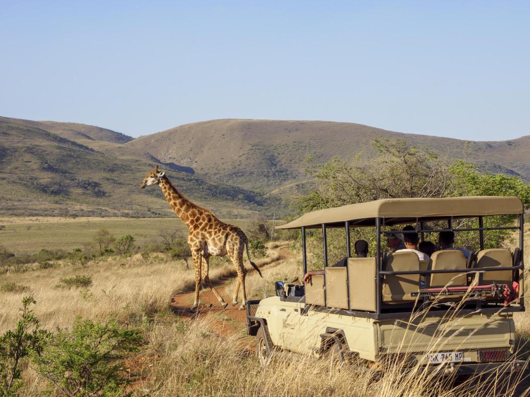Cedarberg Travel | Nkomazi Game Reserve