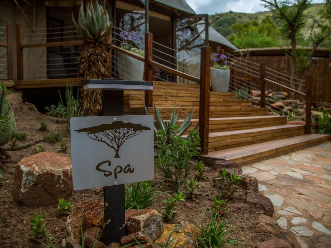 Cedarberg Travel | Nkomazi Game Reserve