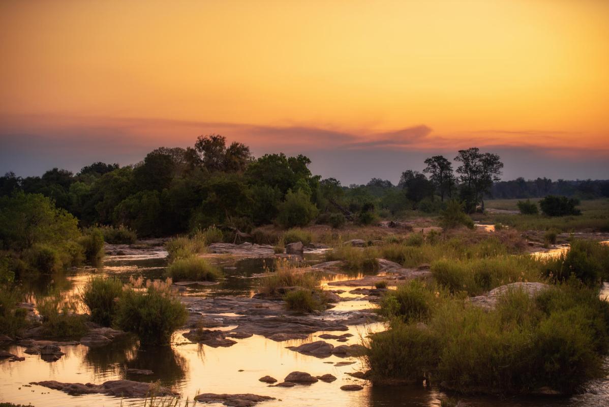 Cedarberg Travel | Rhino Walking Safaris at Plains Camp