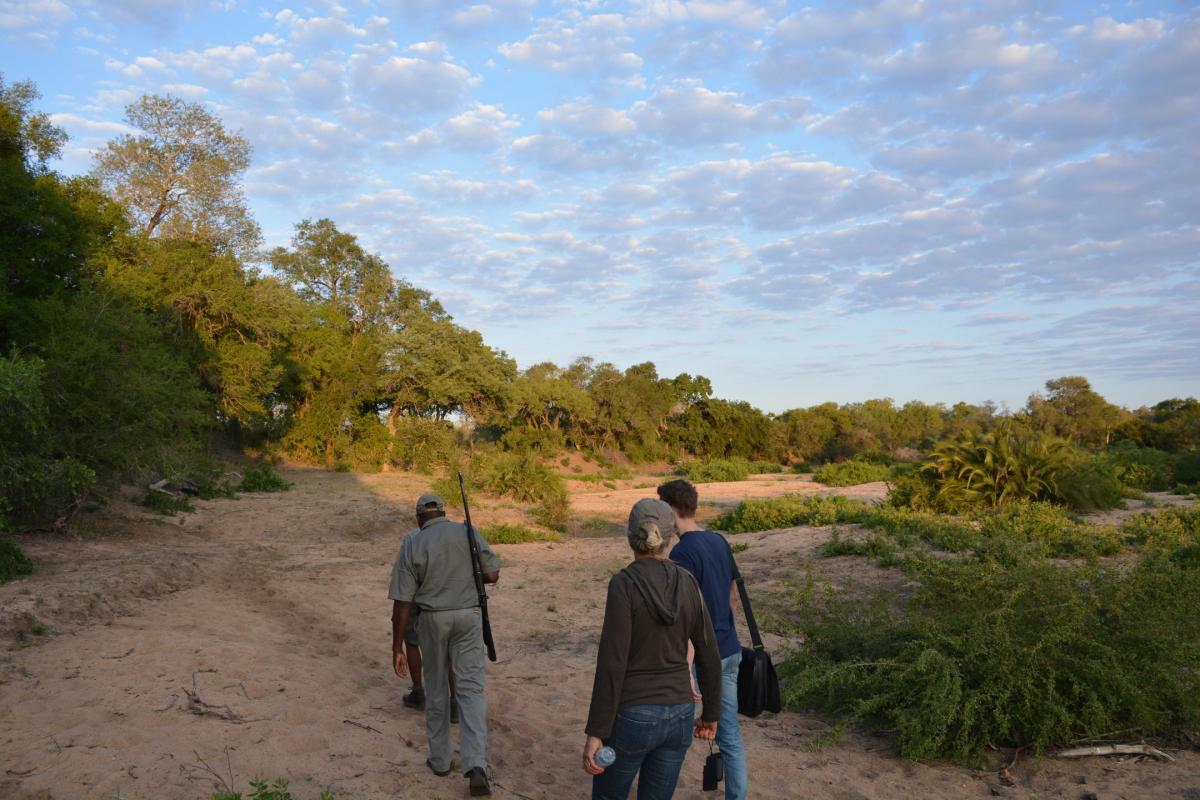 Cedarberg Travel | Rhino Walking Safaris at Plains Camp