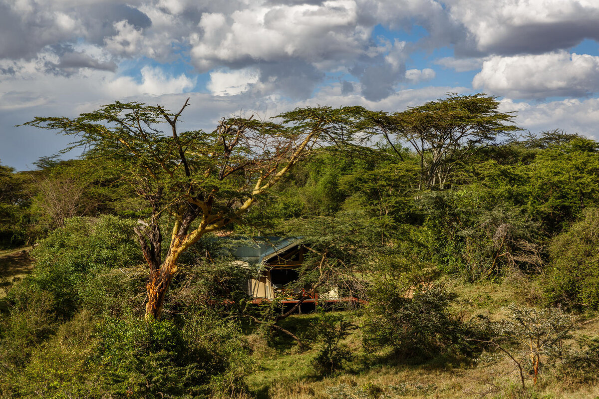 Cedarberg Travel | Porini Mara Camp