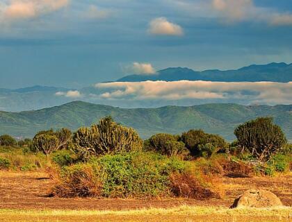 African savanna, Queen Elizabeth National Park, Uganda