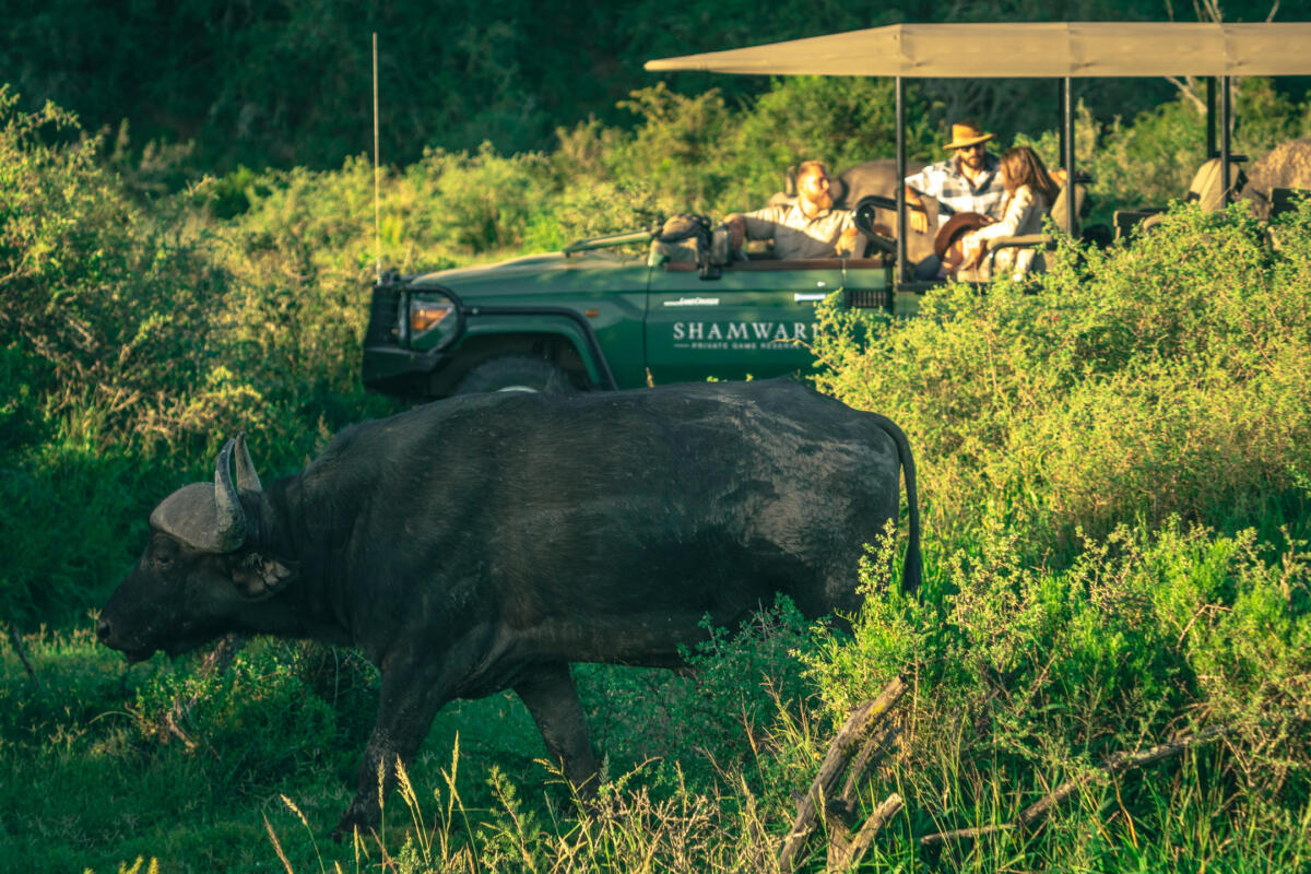 Cedarberg Travel | Sarili at Shamwari Private Game Reserve