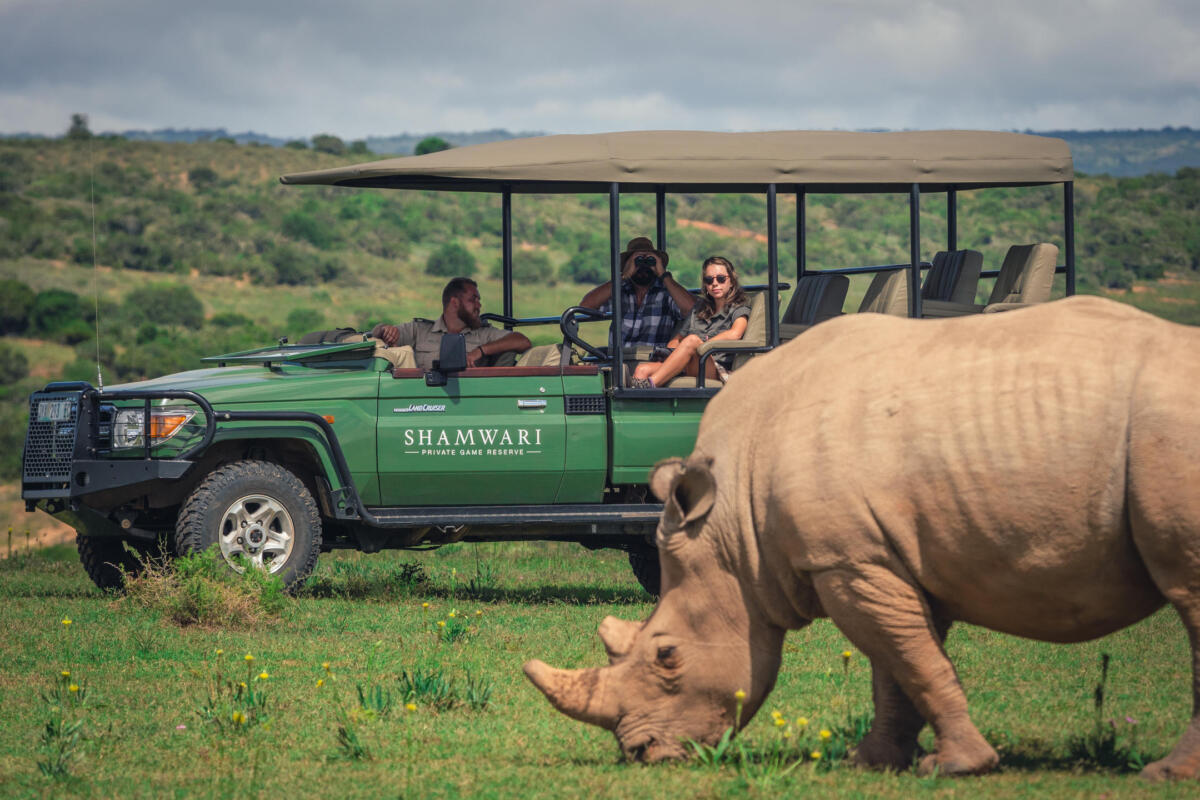 Cedarberg Travel | Sarili at Shamwari Private Game Reserve