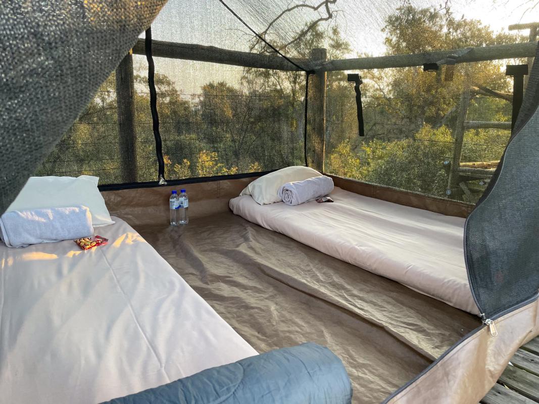 Cedarberg Travel | Rhino Walking Safaris at Plains Camp