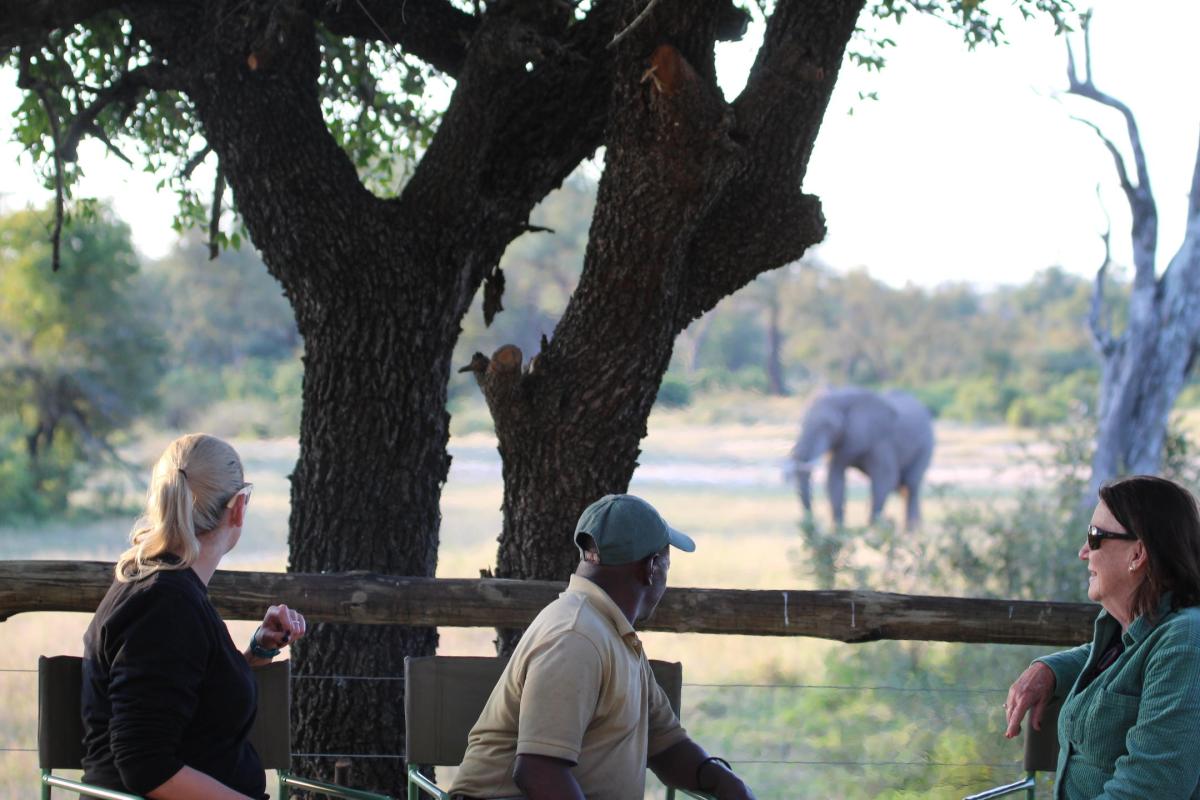 Cedarberg Travel | Rhino Walking Safaris at Plains Camp